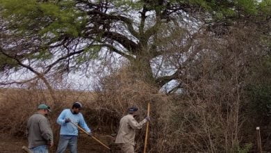 El municipio de Monte Cristo fue intimado a dar explicaciones por la destrucción de Bosque Nativo