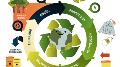Cómo acceder a la diplomatura en Economía Circular totalmente gratis