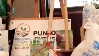 Sumate a la temporada otoño-invierno de las huertas familiares y comunitarias