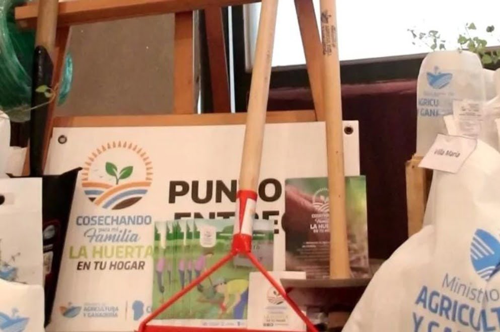 Sumate a la temporada otoño-invierno de las huertas familiares y comunitarias Sumate a la temporada otoño-invierno de las huertas familiares y comunitarias