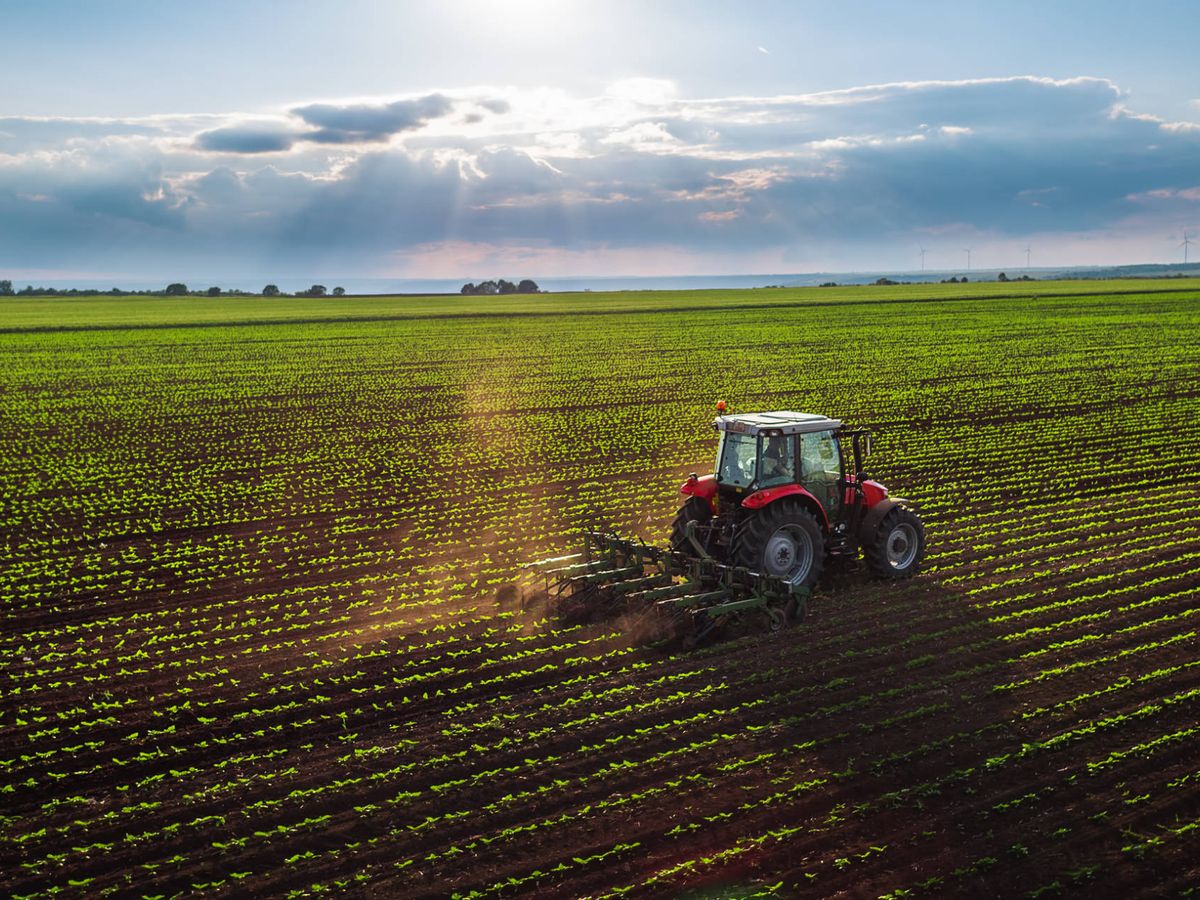 El #Estado se queda con de cada 0 que produce el #Campo