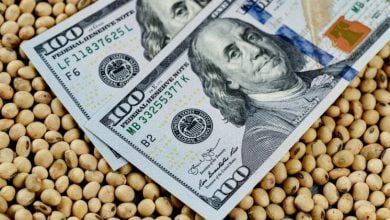 DolarAgro en la mira: “Sequía de ideas que expulsa a productores”