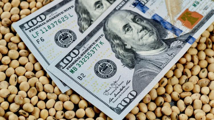 DolarAgro en la mira: “Sequía de ideas que expulsa a productores” DolarAgro en la mira: “Sequía de ideas que expulsa a productores”
