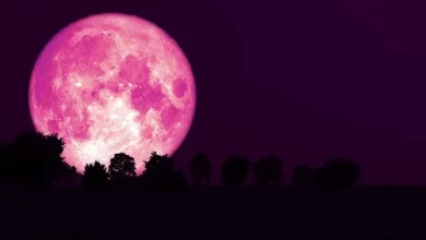 LunaRosa en Abril, un fenómeno ideal para contemplar el cielo nocturno