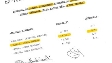 Fue empleada de una exsenadora de Córdoba y estafó al Estado por una cifra millonaria