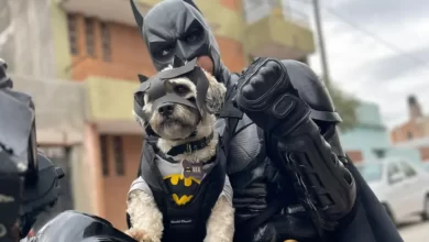 El Batiperro que “combate el mal” junto a Batman en Córdoba, una historia de solidaridad