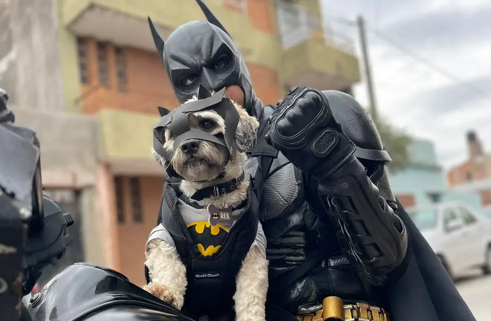 El Batiperro que “combate el mal” junto a Batman en Córdoba, una historia de solidaridad